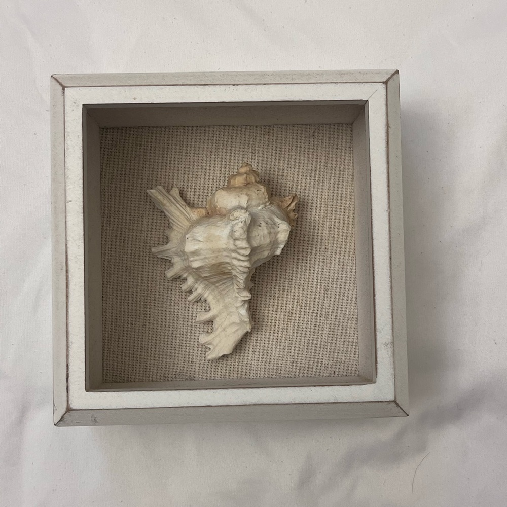 Shoreline Wall Decor